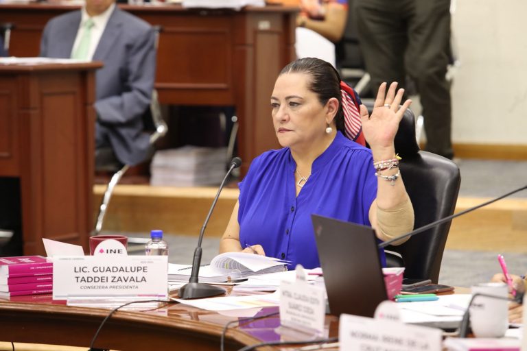 Guadalupe Taddei Zavala, Consejera Presidenta.