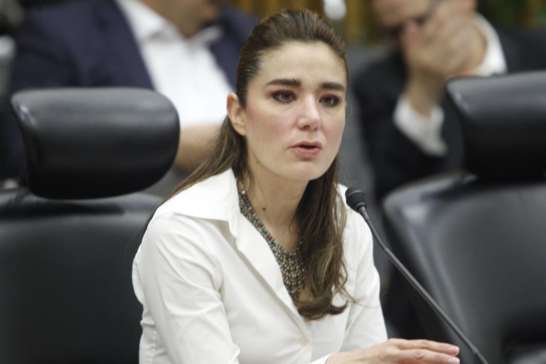 Dania Ravel Cuevas, Consejera Electoral.