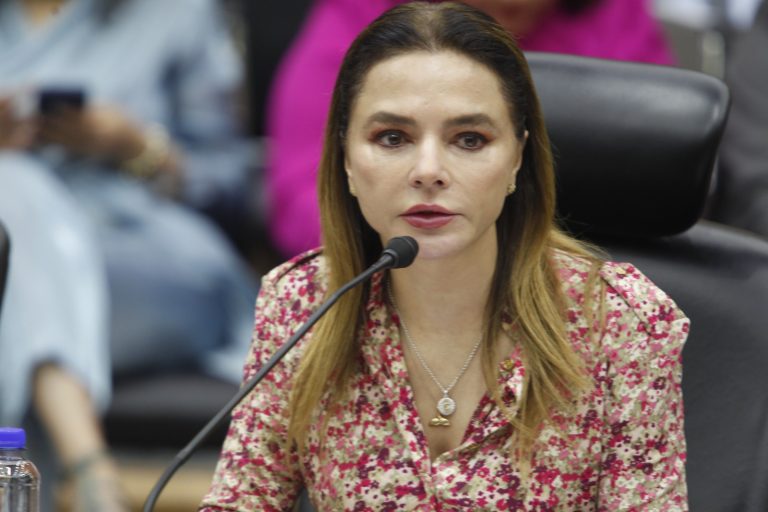 Carla Humphrey Jordan, Consejera Electoral.