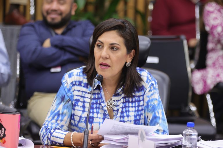 Claudia Zavala Pérez, Consejera Electoral.