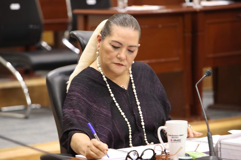 Guadalupe Taddei Zavala, Consejera Presidenta.