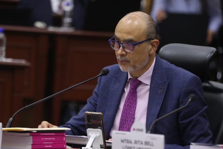 Martín Faz Mora, Consejero Electoral.