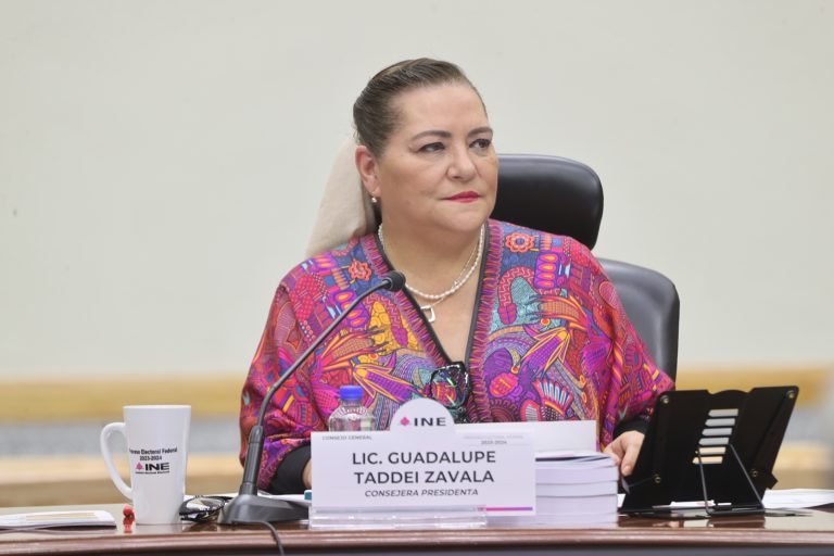 Guadalupe Taddei Zavala, Consejera Presidenta.