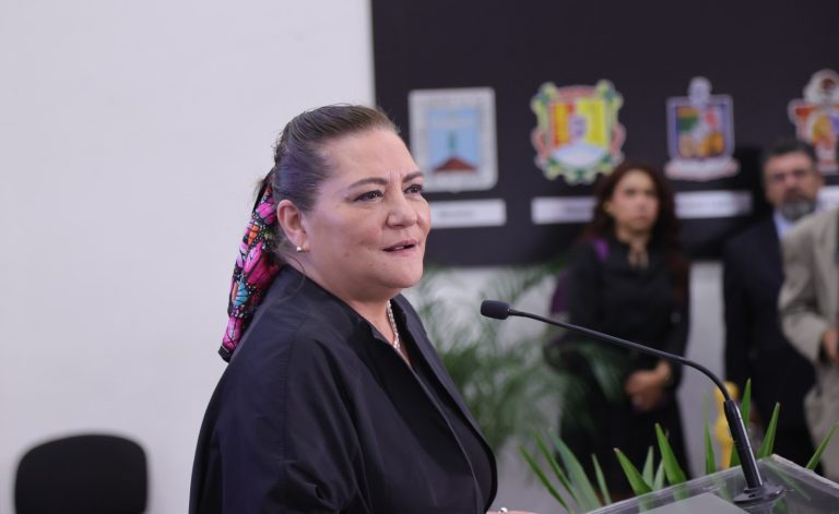 Guadalupe Taddei Zavala, Consejera Presidenta.