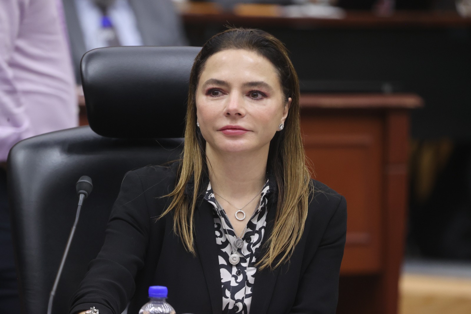 Consulta El Art culo De La Consejera Carla Humphrey Titulado El INE 