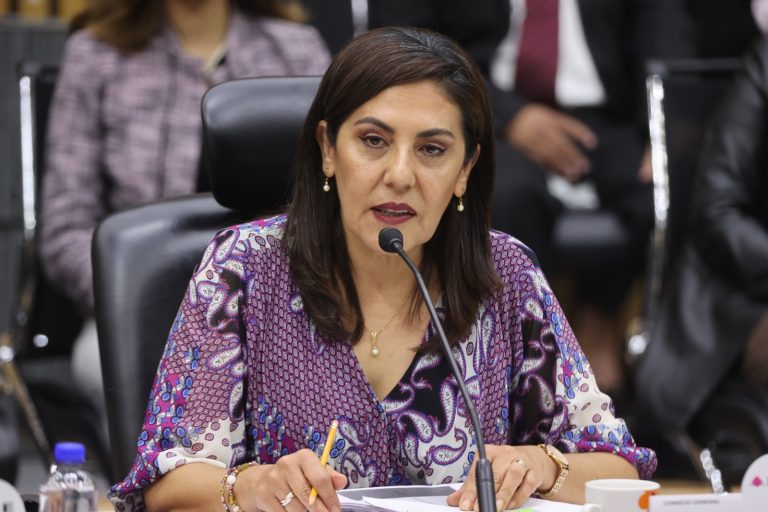 Claudia Zavala Pérez, Consejera Electoral.