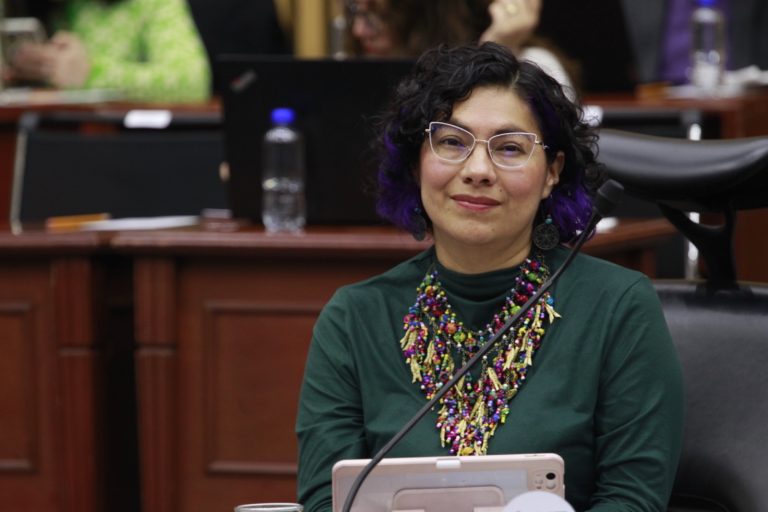Rita Bell López Vences, Consejera Electoral.