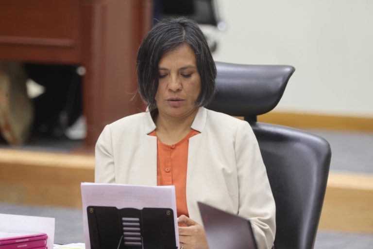 Norma Irene e La Cruz Magaña, Consejera Electoral.