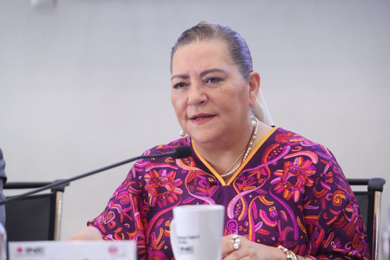 Guadalupe Taddei Zavala, Consejera Presidenta.