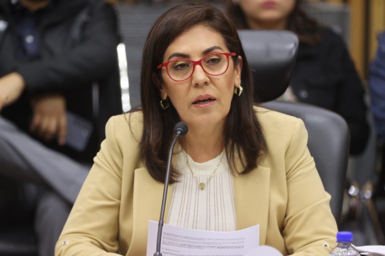 Claudia Zavala Pérez, Consejero Electoral.