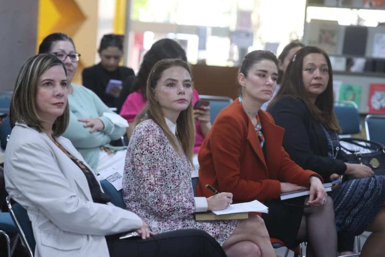 Presentación de resultados de las investigaciones realizadas por el COLMEX en el marco del FAOE.