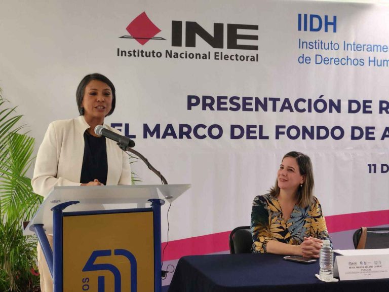 Norma Irene De La Cruz Magaña, Consejera Electoral del INE.