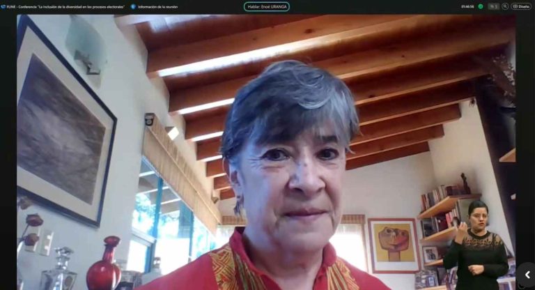 Gabriela Delgado Ballesteros, Investigadora del Instituto de Investigación sobre la Universidad y Educación UNAM.