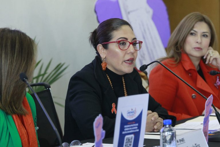 Claudia Zavala Pérez, Consejera Electoral y Presidenta de la Comisión de Igualdad de Género y No Discriminación del INE.