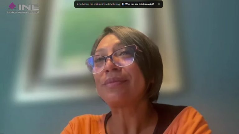 Norma Irene De La Cruz Magaña, Consejera Electoral del INE.