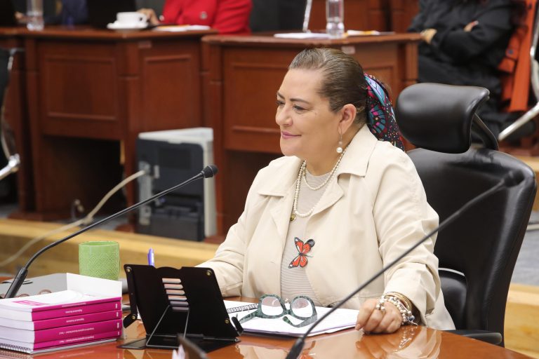 Guadalupe Taddei Zavala, Consejera Presidenta. (Alejandro Hernández fotógrafo INE)