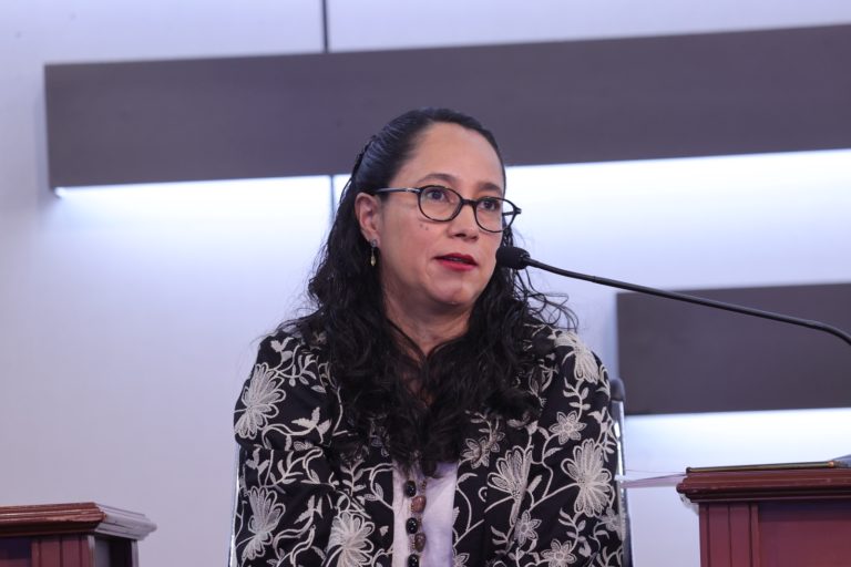 Aidee Elena Rodríguez Serrano, Líder de proyecto Análisis de riesgos psicológicos. Violencia política contra las mujeres en razón de género INE.