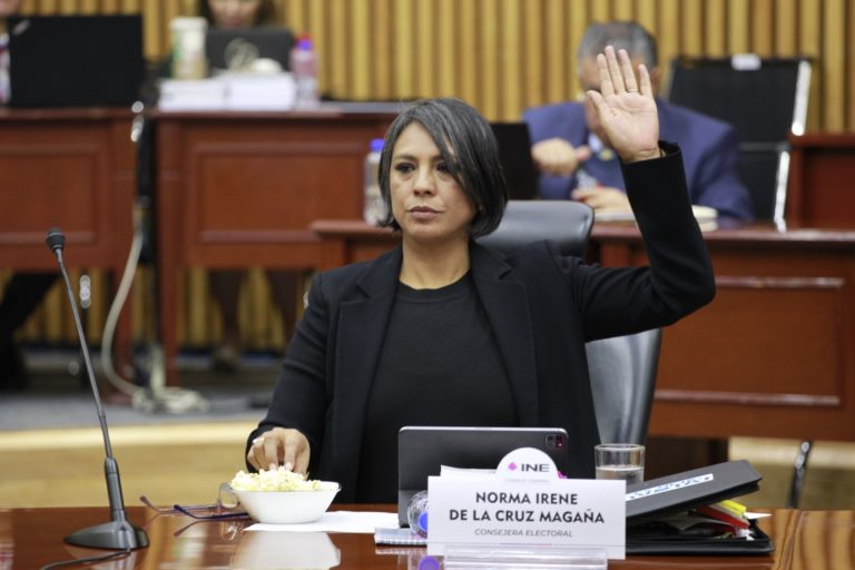 Norma Irene De La Cruz Magaña, Consejera Electoral.