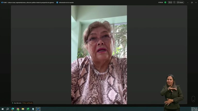 Ana Luisa Eulalia Barreto Sánchez, Artista Visual Feminista.