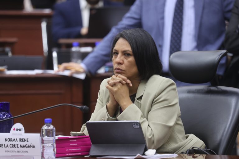 Norma Irene De La Cruz Magaña,   Consejera Electoral.