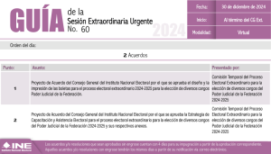 Guía de la sesión del Consejo General del 30 de diciembre de 2024