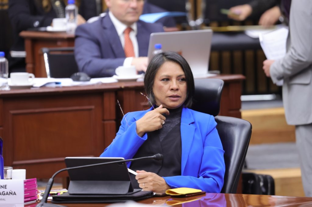 Fotografía de la Consejera Norma de la Cruz en el pleno del Consejo General