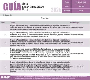 Guía de la 61 sesión extraordinaria del consejo General del INE, 23 de junio