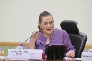 Guadalupe Taddei Zavala Consejera Presidenta, sentada en el centro de la mesa en forma de herradura.