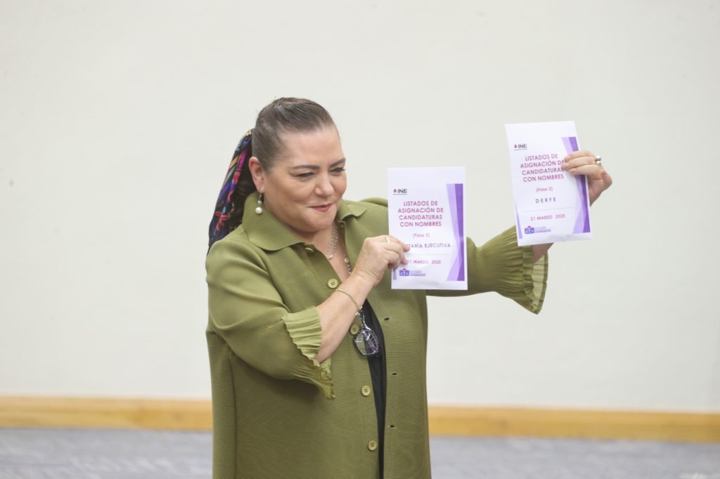 Guadalupe Taddei Zavala, Consejera Presidenta