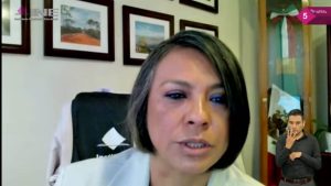 Norma Irene De La Cruz Magaña, Consejera Electoral.