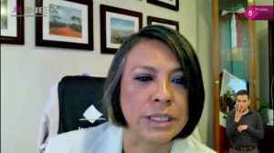 Norma Irene De La Cruz Magaña, Consejera Electoral