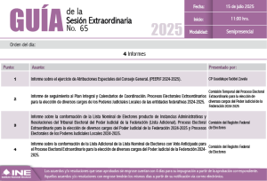 Guía de la Sesión Extraordinaria del Consejo General a 15 de julio de 2025