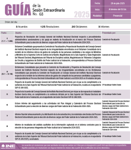 Guía de la Sesión del Consejo General del 28 de julio de 2025