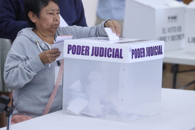 Persona de la tercera edad votando.