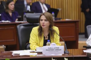 Carla Humphrey Jordan Consejera Electoral, en su participación en la sesión.