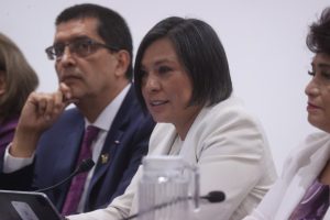 Norma Irene De La Cruz Magaña, Consejera Electoral.
