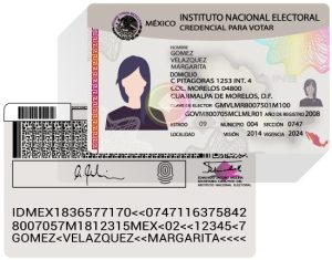 Ilustración de la credencial para votar frente y reverso
