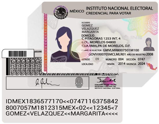 Ilustración de la credencial para votar frente y reverso