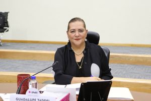 Guadalupe Taddei Zavala, Consejera Presidenta en su participación en la sesión.
