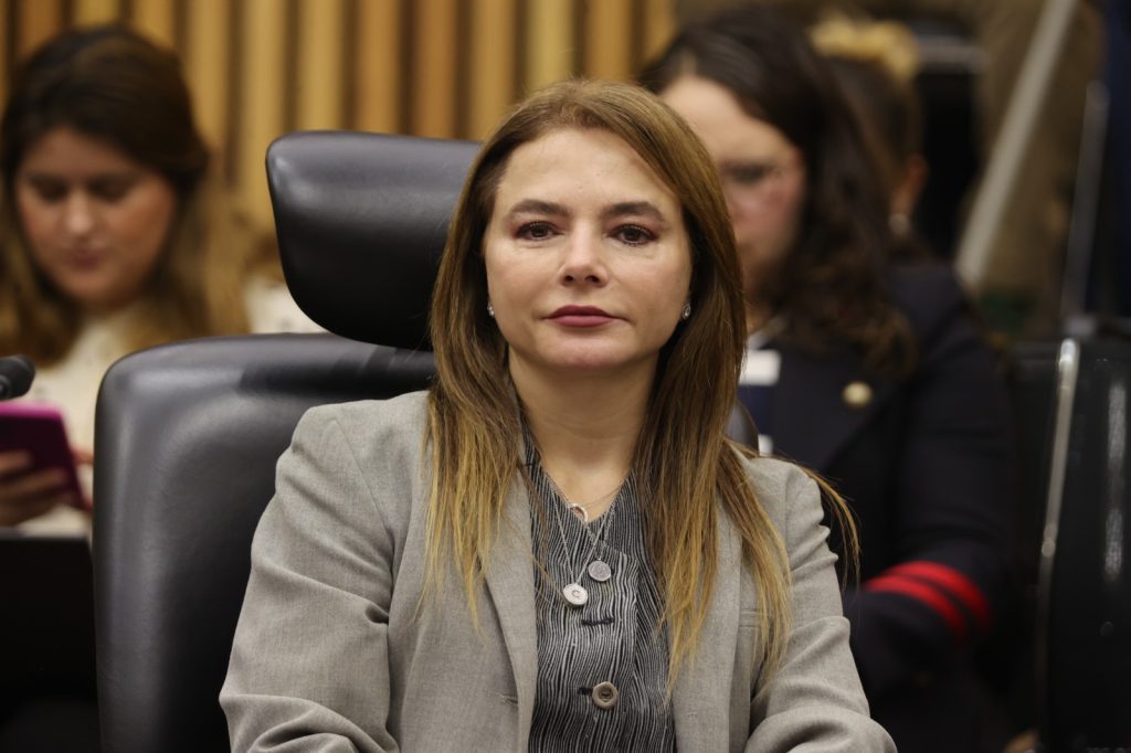 Carla Humphrey Jordan, Consejera Electoral.