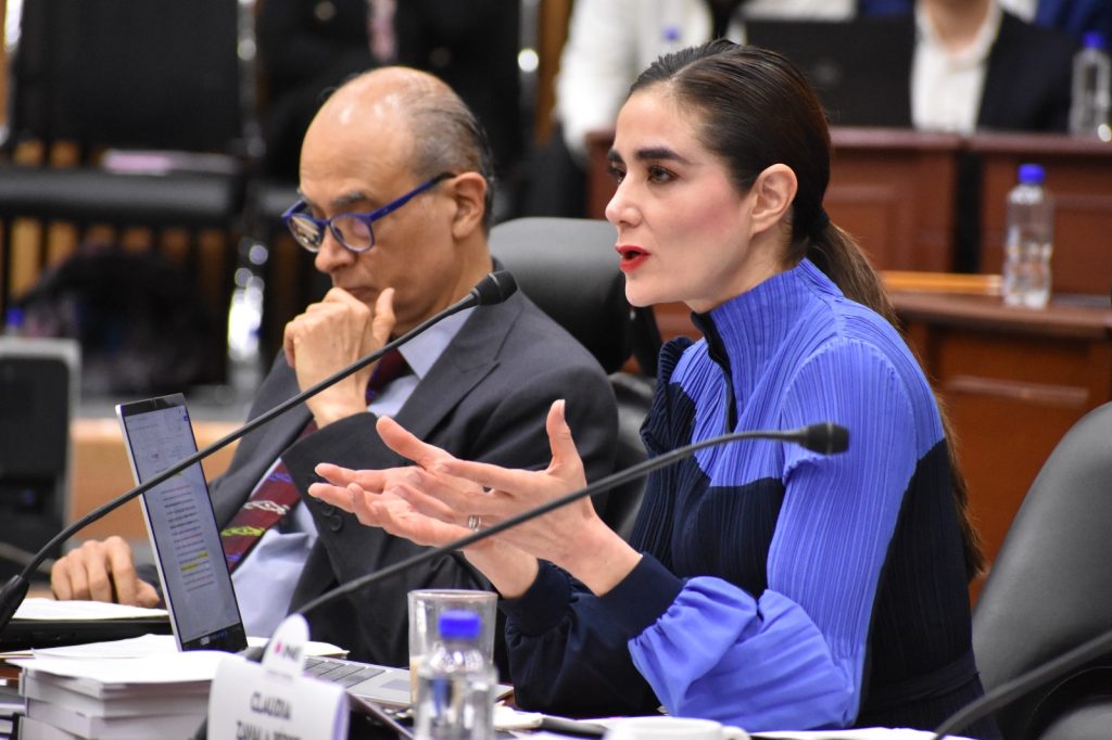 Dania Ravel Cuevas, Consejera Electoral en su participación en la sesión.