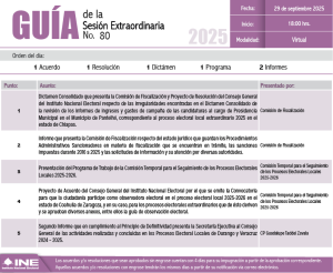 Guía de la Sesión Extraordinaria del Consejo General del INE