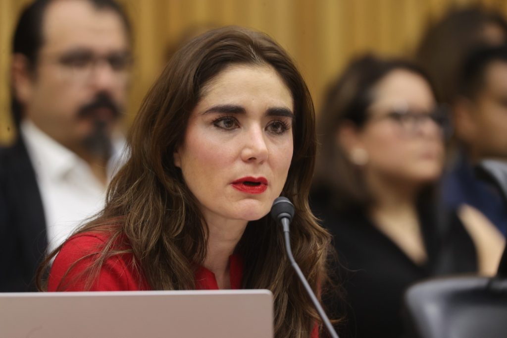 Dania Ravel Cuevas, Consejera Electoral en su participación en la sesión.