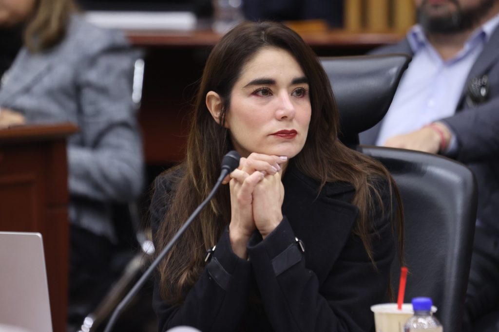 Dania Ravel Cuevas Consejera Electoral en su participación en la sesión.