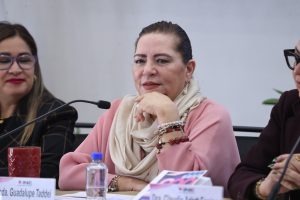 Botón para ingresar a la nota de audio titulada propuestas de reforma electoral de la AMCEE