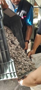 una persona vaciando una caja con credenciales para votar trituradas