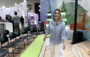 Imagen de apoyo a contenido