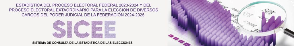 Banner, Sistema de consulta de la Estadística de las elecciones