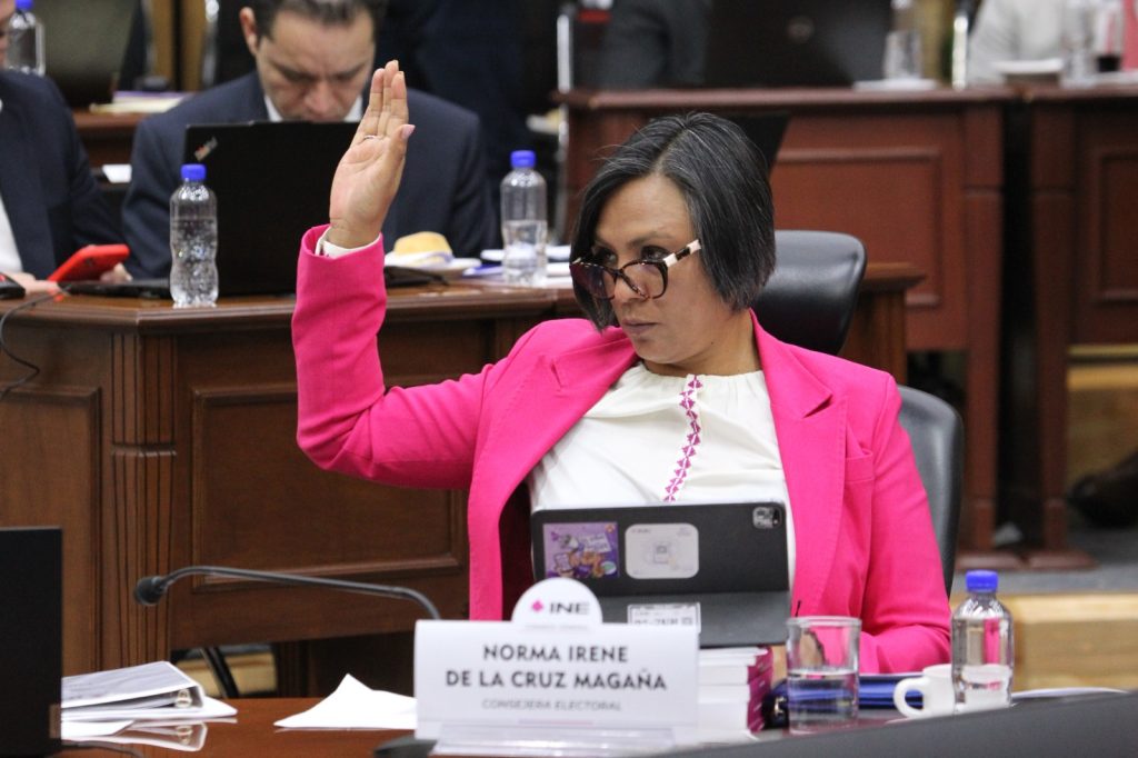 Norma Irene De La Cruz Magaña, Consejera Electoral en su participación en la sesión.