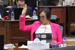 Norma Irene De La Cruz Magaña, Consejera Electoral en su participación en la sesión.